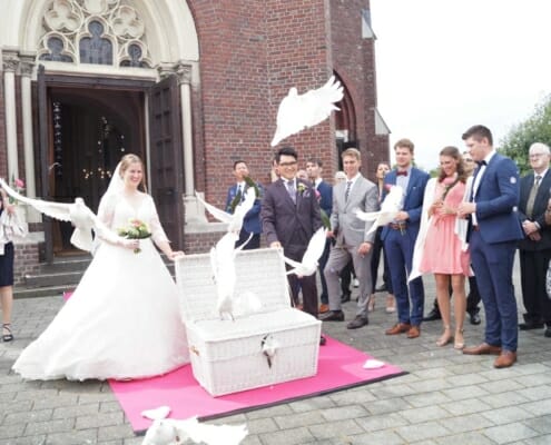 Tauben zur Hochzeit in Heinsberg Bild 1