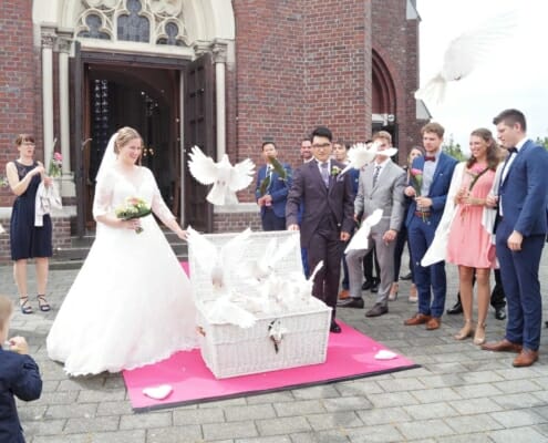 Tauben zur Hochzeit in Heinsberg Bild 2