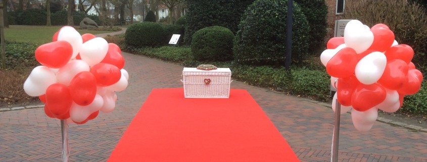 Tauben und Ballons in Vechta