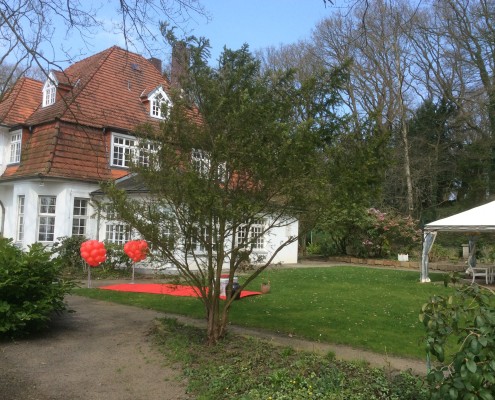 Hochzeitstauben in Achim bei Bremen