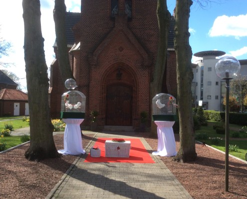 Romantisch: Pfauentauben in Warendorf