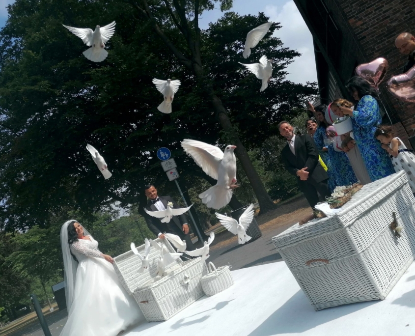 Tauben zur Hochzeit fliegen lassen Beispiel Bild 1